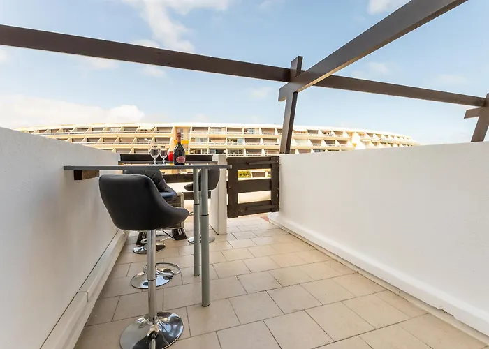 Shanel Port Nature Coursive